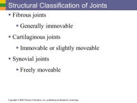 ELAINE N. MARIEB EIGHTH EDITION 5 Copyright © 2006 Pearson Education, Inc., publishing as Benjamin Cummings PowerPoint... 