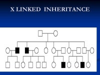 HEREDITARY ANEMIAS PROF. SAMIYA NAEEMULLAH Diplomate American Board of Pediatrics FAAP, FCPS Head of Pediatrics Department... 