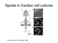 Introduction to the Laboratories of Bio and Soft-matters 陳志強 中央研究院物理研究所 中央大學生物物理研究所. -  ppt download