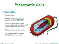 웰트레이더스 | About Science Prof OnlineScience Prof Online PowerPoint Resources Science Prof Online (SPO) is a free science education website...