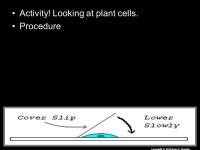 RED SLIDE: These are notes that are very important and should be recorded in your science journal. Copyright © 2010 Ryan P.... 