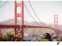 Forging new generations of engineers. History of Bridges. -  ppt download