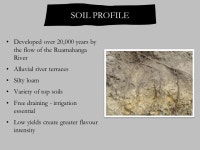 Handcrafted Excellence in Wine. CORE MESSAGE Established in 1980, Martinborough Vineyard is an icon in New Zealand winemaking... 