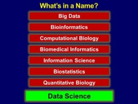 Belinda Seto, Ph.D. Deputy Director National Institute of Biomedical Imaging and Bioengineering Belinda Seto, Ph.D. Deputy... 