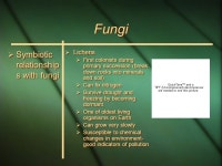 Ch. 22 Fungi By: Brianna Shields April 27, 2006 By: Brianna Shields April 27, ppt download