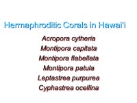 The Not-So-Secret Sex Lives of Scleractinian Corals. -  ppt download