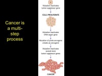 Cancer Detection and Diagnosis Early Cancer May Not Have Any symptoms Pap Test Mammograms Blood tests Prostate-specific antigen... 
