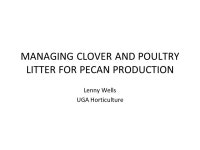 MANAGING CLOVER AND POULTRY LITTER FOR PECAN PRODUCTION Lenny Wells UGA Horticulture. -  ppt download