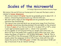 1 Scales of the microworld We look at the world from our human point of view and the basic scale is related to human dimensions... 