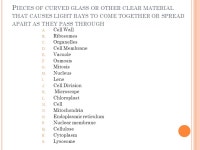 C ELL S TRUCTURE AND F UNCTION K EY T ERM R EVIEW. -  ppt download