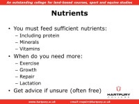 An outstanding college for land-based courses, sport and equine studies  Obesity……. Lucy Dumbell. -  ppt download