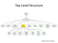 The Gene Ontology and Immune System Processes Alexander D. Diehl 6/11/ ppt download