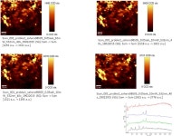 Scan_001_probka1_sahara98505_0.05sek_10m W_532nm_40x_ (SG): Sum -> Sum [1255 a.u. -> 1311 a.u.] Scan_001_probka1_sahara98505_0.... 