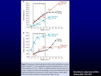 Running, Human Evolution, and Barefoot Running Review of Bramble & Lieberman (2004) Nature 432: W. Rose. -  ppt download