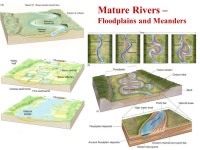 THE LANGUAGE OF THE EARTH – PART II SEDIMENTARY ROCKS. - ppt download