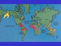 HYRACOIDEA & SIRENIA: Remnants of the Subungulate Radiation Mammalogy - EEOB 625: March 2004 Taxon Quiz III: Friday, 12 March, in... 