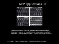 Manipulation of Nanoparticles and Nanotubes by Dieletrophoresis ME 395 March 16, 2004 Ned Cameron, Christine Darve, Christina... 