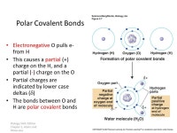Review, Hydrogen Bonding and Water AP Biology. Biology, Sixth Edition Chapter 2, Atoms and Molecules Ionic Bonds electrons are... 