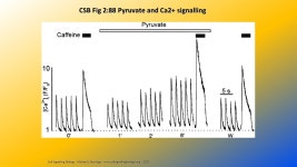 Lecture 12 – Second Messengers VI – Others BIOL 5190/6190 Cellular & Molecular Singal Transduction Prepared by Bob Locy Last... 