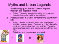 Chewing Gum Alyssa Fenske March 8, 2010 CBE 555. Outline 1.Why talk about Chewing Gum? 2.History of Chewing Gum 3.Manufacture... 