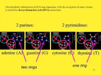 1 Introduction to Bioinformatics. 2 What is Bioinformatics? -  ppt download