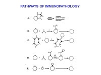 BIOCHEMICAL MECHANISMS OF DRUG TOXICITIES Lance R. Pohl, Pharm.D., Ph.D. Chief, Section of Molecular and Cellular Toxicology... 