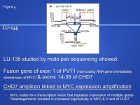 Smoking Habits There are over 1 billion people in the world that smoke tobacco There are over 1 billion people. -  ppt download