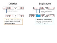 Mutations. Some Definitions 1. Mutation Any change in the DNA which if occurs in germ cells is heritable but if occurs in somatic... 