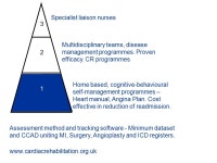 Chronic disease management The background Bob Lewin Professor of Rehabilitation Presentations at -  C ARE AND E DUCATION R... 