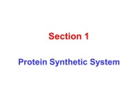 Chapter 12 Translation. The synthesis of protein molecules using mRNA as the template, in other word, to translate the nucleotide...