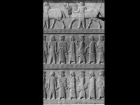 The Greco-Persian Wars Ancient Studies. Greece during the Persian Wars. -  ppt download