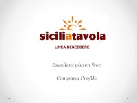 Excellent gluten free Company Profile. Index Company Added Value What we do Sales channel Contact us. -  ppt download
