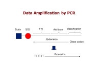 Gene Expression Classification by Kernel-based PLM 응용화학부 서 주 현 전기전자공학부 조 율 원 컴퓨터공학과 강 성 구. -  ppt... 