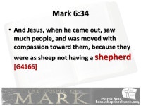 Shepherds must Shepherd God’s Sheep Well Part 2 Mark 6:34 and Ezekiel 34: ppt download