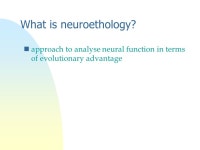 Neuroethology: Sound in insects -  ppt download