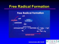 Andrew Asimos, MD, FACEP Optimal Emergency Department Neuroprotection Strategies in Acute Ischemic Stroke Patients. -  ppt download