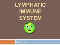 LYMPHATIC IMMUNE SYSTEM Chapter 14. Introduction  Includes:  Network of vessels that transports fluids  Similar to cardiovascular... 
