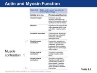 Moyes and Schulte Chapter 6 Copyright © 2005 Pearson Education, Inc., publishing as Benjamin Cummings Cellular Movement and... 
