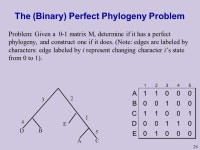 . Phylogenetic Trees (2) Lecture 13 Based on: Durbin et al 7.4, Gusfield , Setubal&Meidanis ppt download