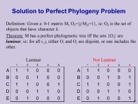 . Phylogenetic Trees (2) Lecture 13 Based on: Durbin et al 7.4, Gusfield , Setubal&Meidanis ppt download