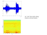OS72B-0356 Blue-Whale Calls Detected at the Pioneer Seamount Underwater Observatory Michael D. Hoffman, 1 Carl O. Vuosalo, 1... 