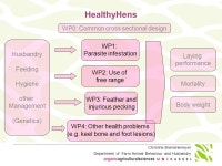 Christine Brenninkmeyer Department of Farm Animal Behaviour and Husbandry HealthyHens WP3: Feather and injurious pecking WP4... 