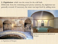 And the dwelling space, namely: 11. Hospitalia, which represent the apartments and guest rooms; 12. Apartments of the dominus and... 