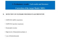 LAMINOPATHY-BASED PREMATURE AGING: GENE THERAPY IN RESTRICTIVE DERMOPATHY Group members: Daniela Celebrin Anna Cerullo Dario... 