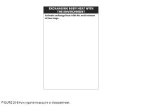 © 2011 W. H. Freeman and Company CHAPTER 20 Introduction to Animal Physiology What Is Life? A Guide To Biology First Edition... 