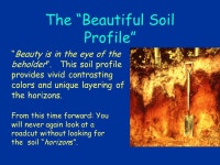 SOIL SOIL - The unconsolidated mineral or organic material on the immediate surface of the earth that serves as a natural medium... 