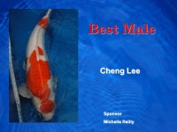 Club Logo Koi Show and Product Expo Show Logo Show Committee Volunteers Show Chairperson – Sue Emerick Show Co-Chairpersons... 