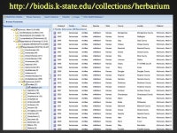Information System David Allen and Mike Haddock K-State Libraries Coalition for Networked Information December 15, ppt download