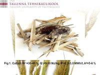 The suitability of energy plants as fuel for power boilers Aadu Paist Tallinn University of Technology Thermal Engineering... 