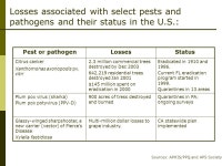 Learning from Past and Current Plant Epidemics This slide show was adapted from a December 2003 presentation by James Schoelz... 